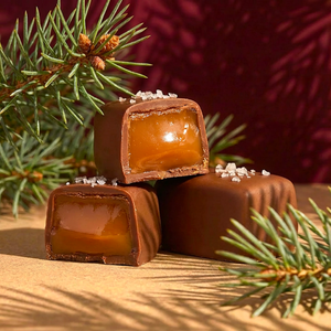 Chocolate Sea Salt Vanilla