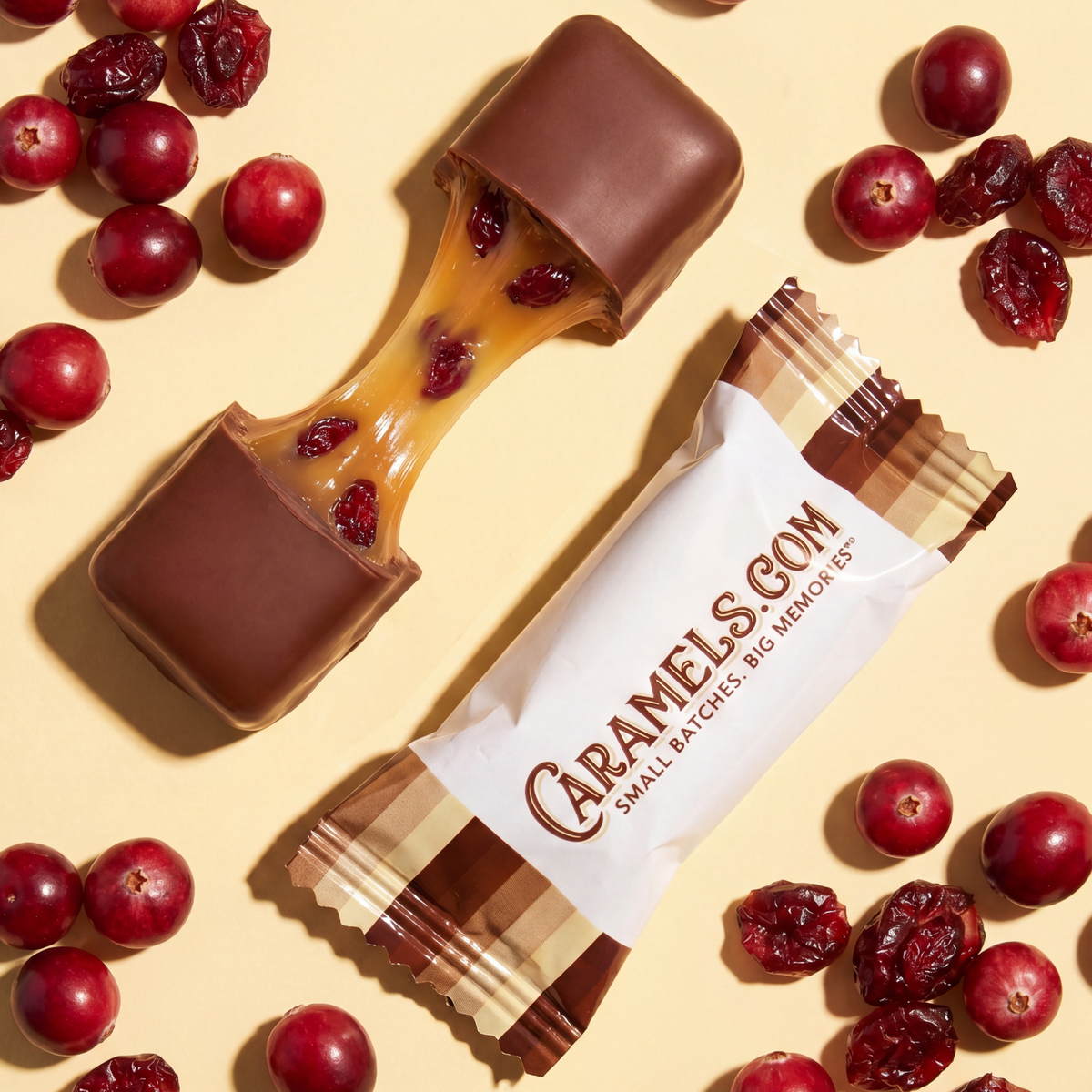 Chocolate Cranberry