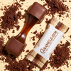 Chocolate Covered Brownie