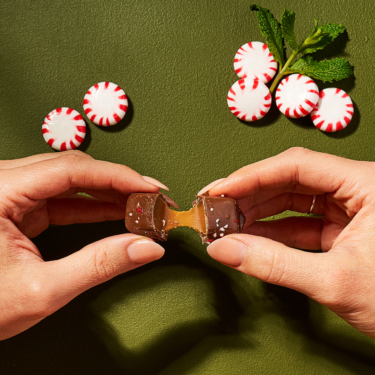 Chocolate Peppermint